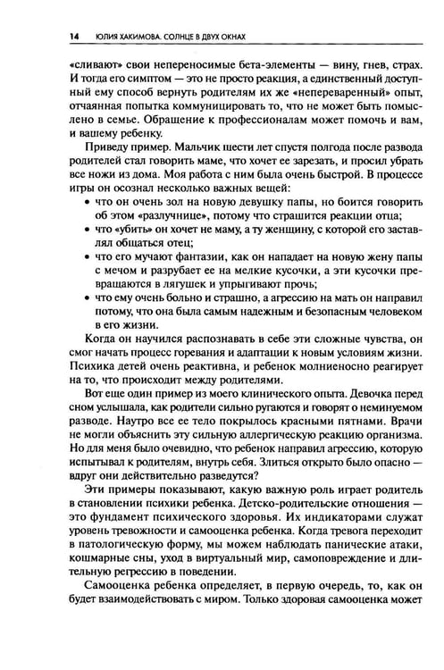 Дополнительное изображение книги «Солнце в двух окнах: Как подарить ребенку счастливое детство после развода»