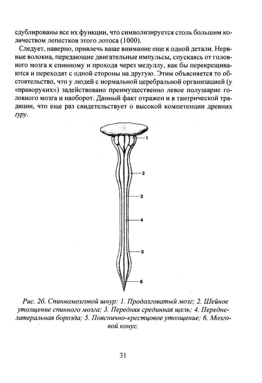 Дополнительное изображение книги «Сила тонких энергий. Руководство по активации»