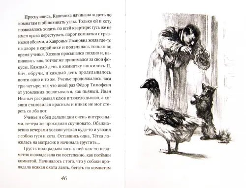 Дополнительное изображение книги «Каштанка»
