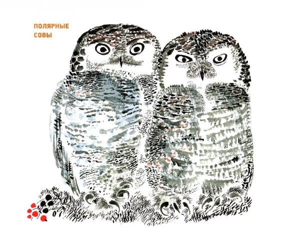 Дополнительное изображение книги «Рисуем птиц. Уроки Никиты Чарушина»
