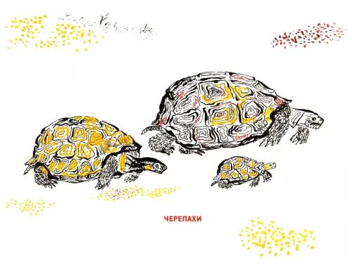 Дополнительное изображение книги «Рисуем зверей. Уроки Никиты Чарушина»