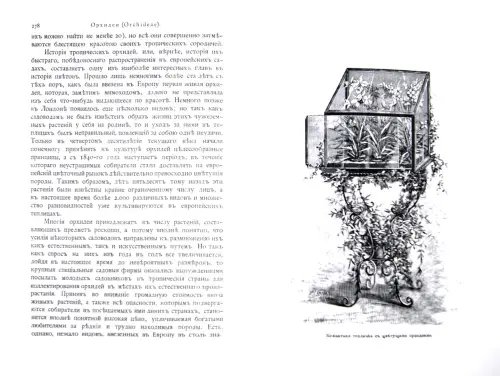 Дополнительное изображение книги «Комнатное садоводство»
