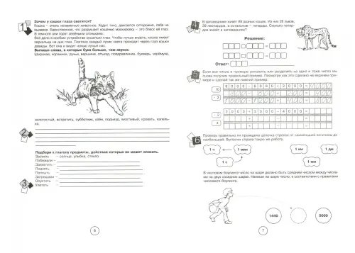 Дополнительное изображение книги «Занимательная летняя школа. 4-5 классы»
