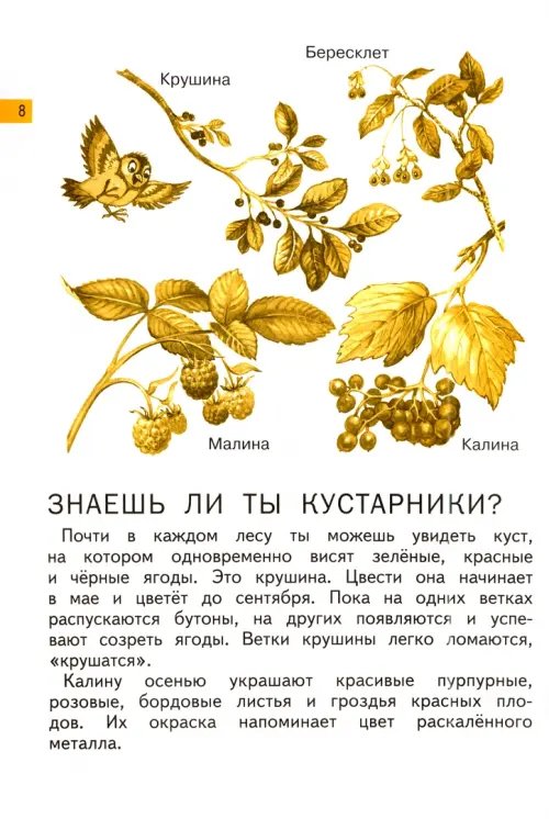 Дополнительное изображение книги «Окружающий мир. 1 класс. Хрестоматия. ФГОС»