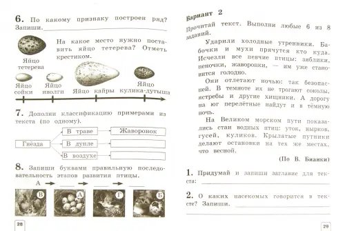Дополнительное изображение книги «Окружающий мир. 1 класс. Проверочные работы. ФГОС»