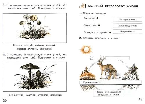 Дополнительное изображение книги «Окружающий мир. 3 класс. Тетрадь для учащихся. В 2-х частях. Часть 1. ФГОС»