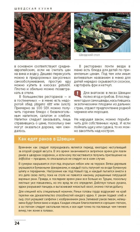 Дополнительное изображение книги «Швеция»