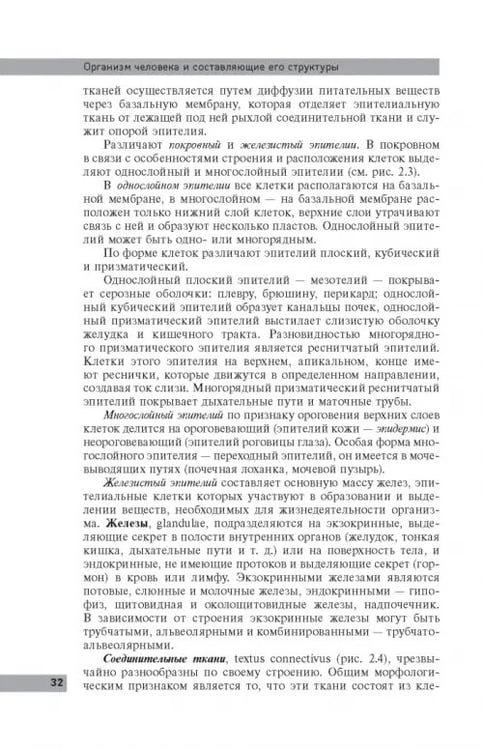 Дополнительное изображение книги «Анатомия и физиология человека: учебное пособие»