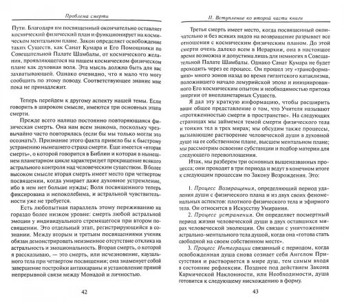 Дополнительное изображение книги «Проблема смерти»