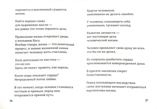 Дополнительное изображение книги «Гаян. Песнь суфия»