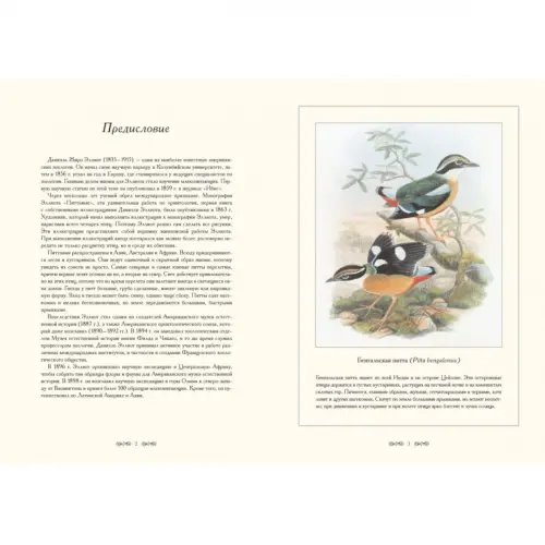 Дополнительное изображение книги «Питтовые»