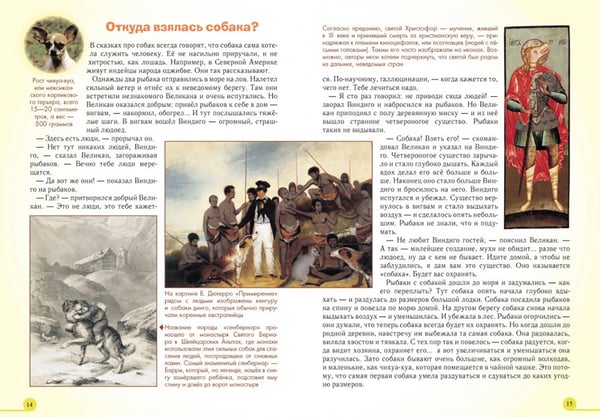 Дополнительное изображение книги «Домашние животные»
