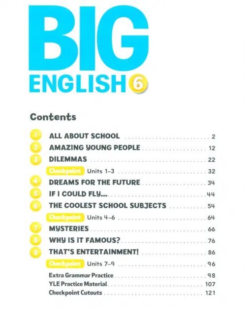 Дополнительное изображение книги «Big English. Level 6. Activity Book»