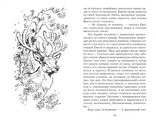 Дополнительное изображение книги «Аленушкины сказки. Рассказы и сказки»