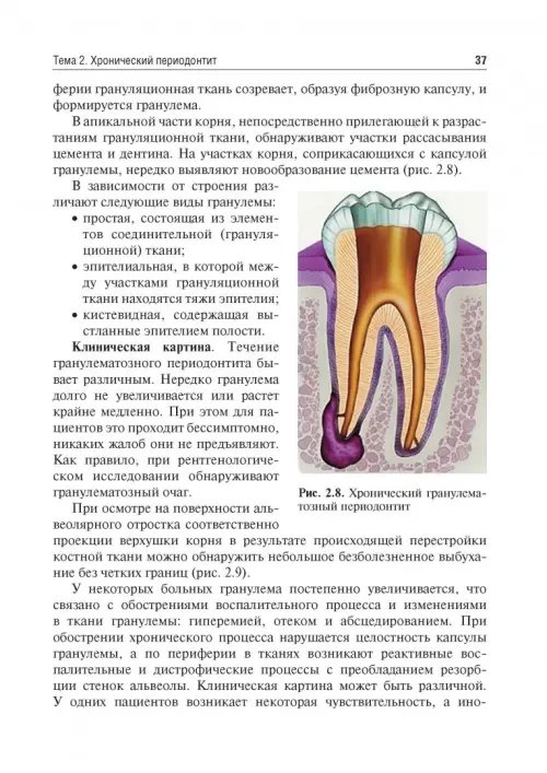 Дополнительное изображение книги «Одонтогенные воспалительные заболевания полости рта. Учебное пособие»