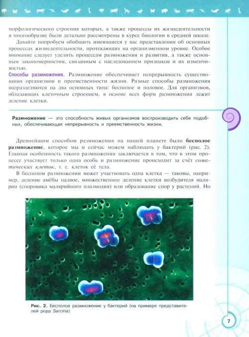 Дополнительное изображение книги «Биология. 11 класс. Учебник. Базовый уровень. ФГОС»