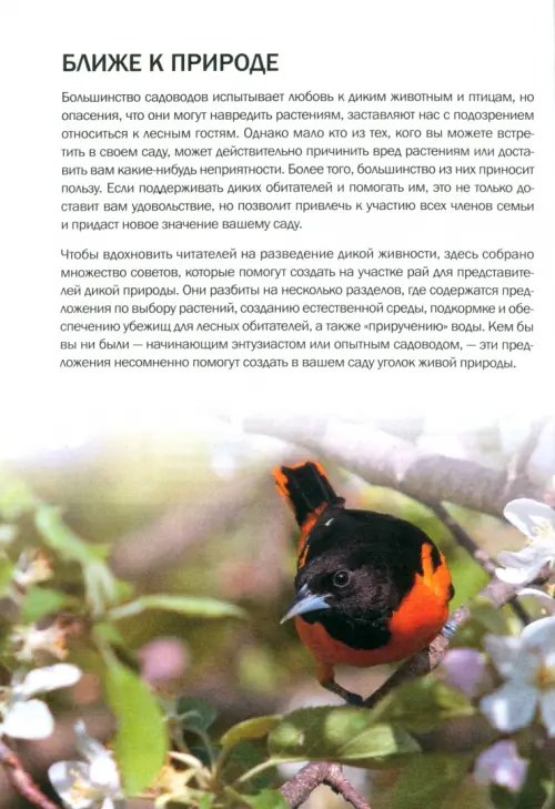 Дополнительное изображение книги «Садовые помощники»