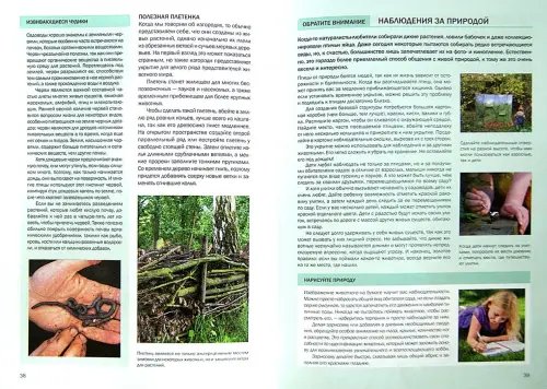 Дополнительное изображение книги «Садовые помощники»