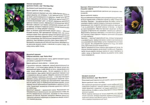 Дополнительное изображение книги «Цветочная радуга»