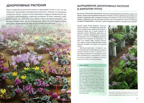 Дополнительное изображение книги «Быстрый урожай»