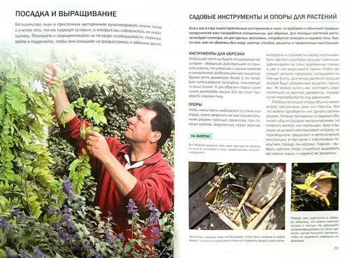 Дополнительное изображение книги «Декоративные растения. Иллюстрированный справочник»