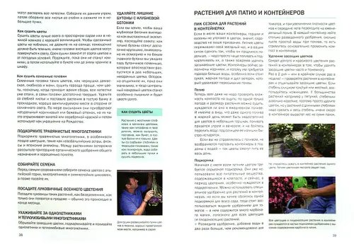 Дополнительное изображение книги «Год садовода. Лето»