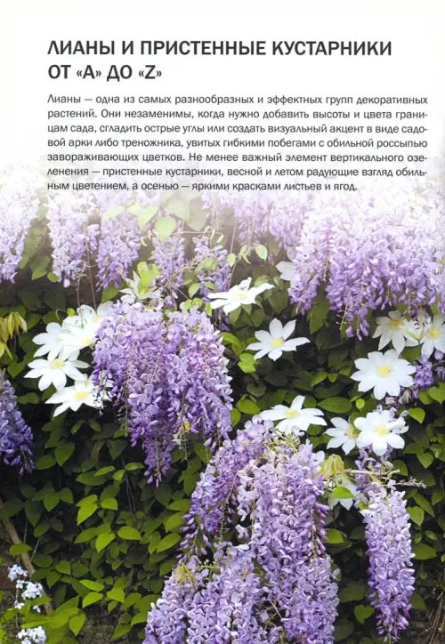 Дополнительное изображение книги «Вьющиеся растения»