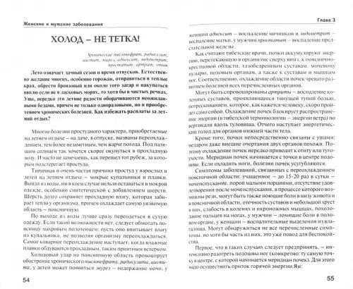 Дополнительное изображение книги «Новые тибетские методики в практике доктора С. Г. Чойжинимаевой»