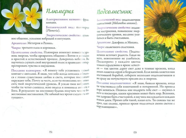 Дополнительное изображение книги «Цветочная терапия»