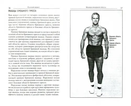 Дополнительное изображение книги «Плоский живот за 15 минут в день»