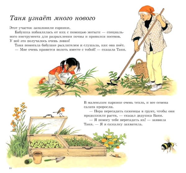 Дополнительное изображение книги «Как растут овощи?»