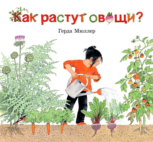 Дополнительное изображение книги «Как растут овощи?»