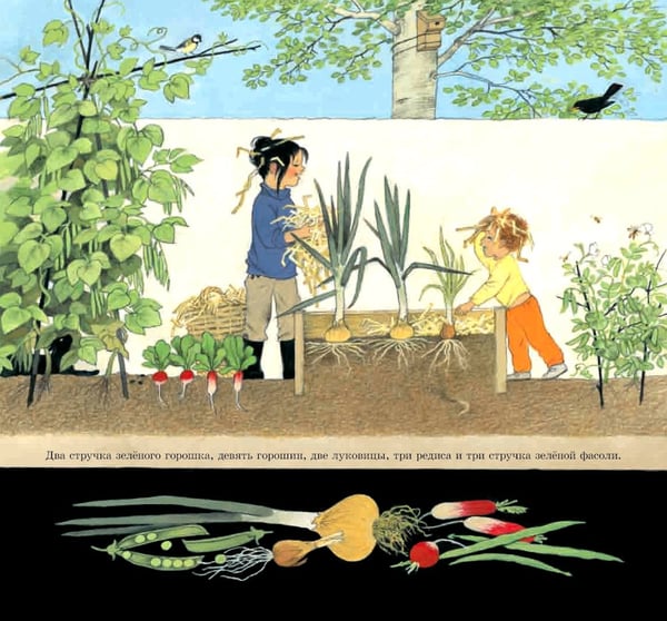 Дополнительное изображение книги «Как растут овощи?»