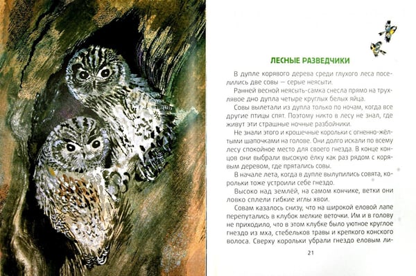 Дополнительное изображение книги «Лесные разведчики»
