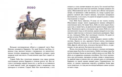 Дополнительное изображение книги «Лобо»