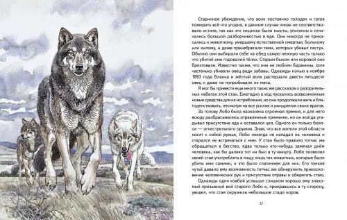 Дополнительное изображение книги «Лобо»