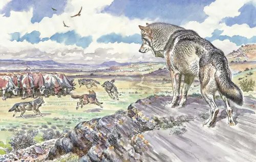 Дополнительное изображение книги «Лобо»