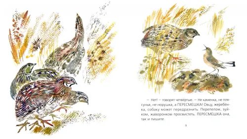 Дополнительное изображение книги «Каменка-плясунья»
