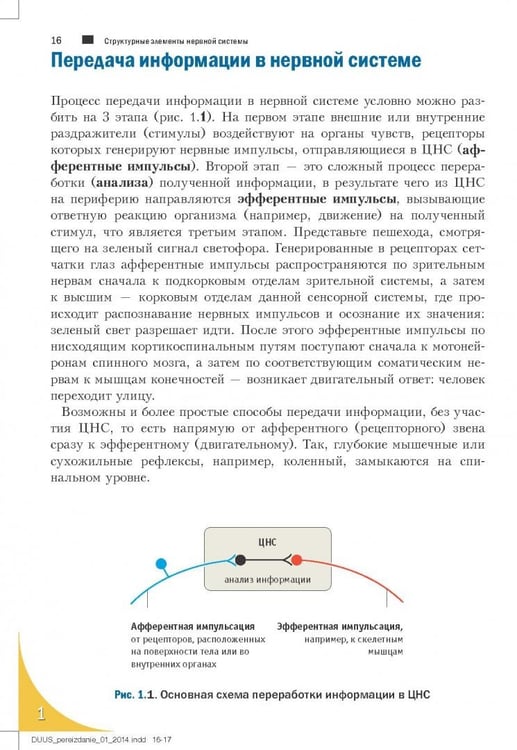 Дополнительное изображение книги «Топический диагноз в неврологии по Петеру Дуусу. Анатомия. Физиология. Клиника»
