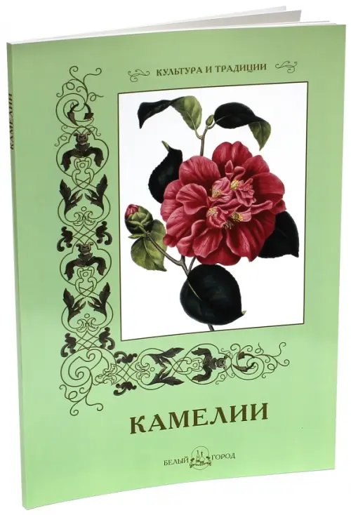 Обложка книги «Камелии» — Иванов С., ISBN 9785779344418