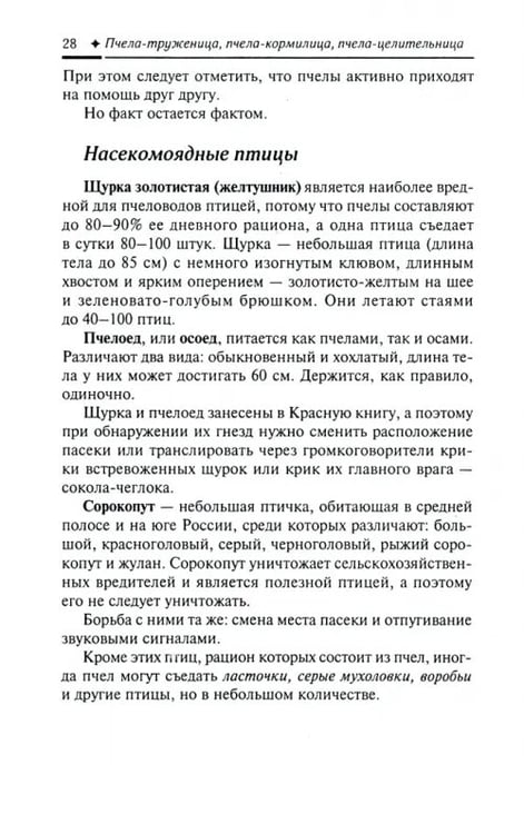 Дополнительное изображение книги «Пчела-труженица, пчела-кормилица, пчела-целительница»