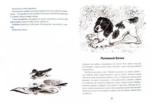 Дополнительное изображение книги «Лесные сказки»