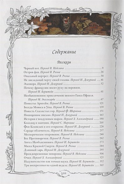 Дополнительное изображение книги «Черный кот»