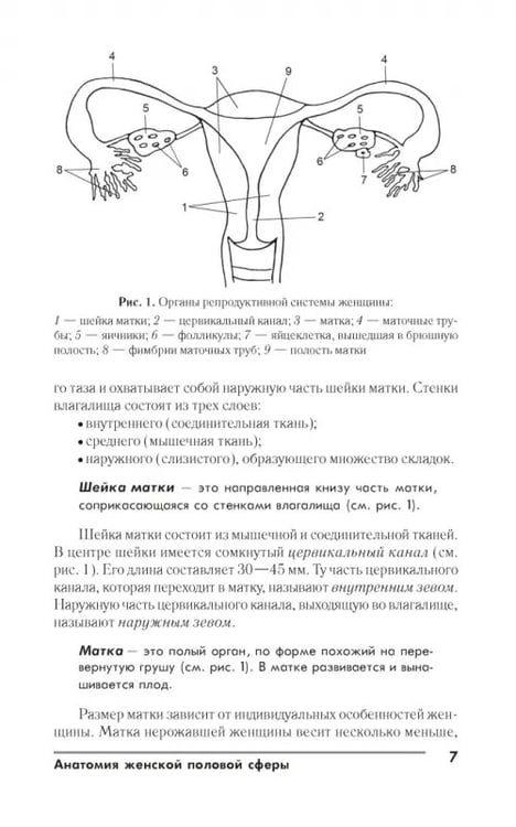 Дополнительное изображение книги «Страхи будущих мам, или Как справиться с трудностями беременности»