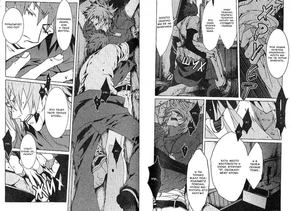 Дополнительное изображение книги «Togainu no Chi. Кровь виновного пса. Том 5»