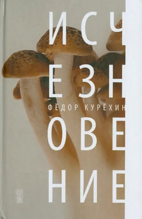 Обложка книги «Исчезновение» — Курехин Федор, ISBN 9785435703269