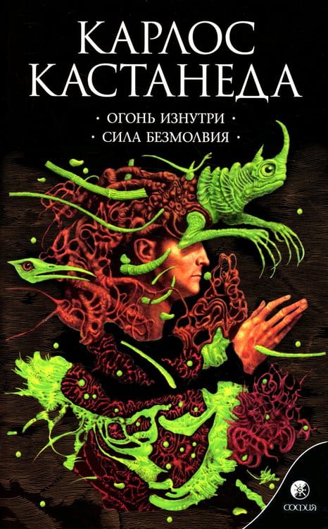Дополнительное изображение книги «Огонь изнутри. Сила безмолвия. Книга 4»