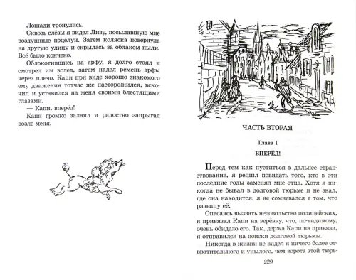 Дополнительное изображение книги «Без семьи»