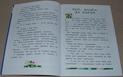 Дополнительное изображение книги «Теремок»