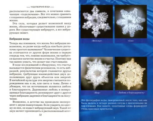 Дополнительное изображение книги «Чудотворная вода»